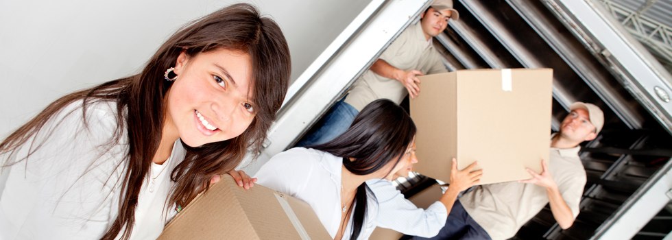 Professional Removalists Beachlands